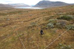 <p>DarkDivNet site in Norway - one of the research network's 5,500 study areas worldwide. </p>